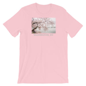Cherry Blossoms in Washington, DC - Premium Short-Sleeve T-Shirt