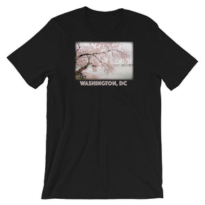 Cherry Blossoms in Washington, DC - Premium Short-Sleeve T-Shirt